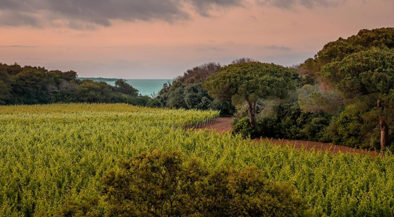 Masseria Mongio Dell'Elefante Otranto Ngoại thất bức ảnh