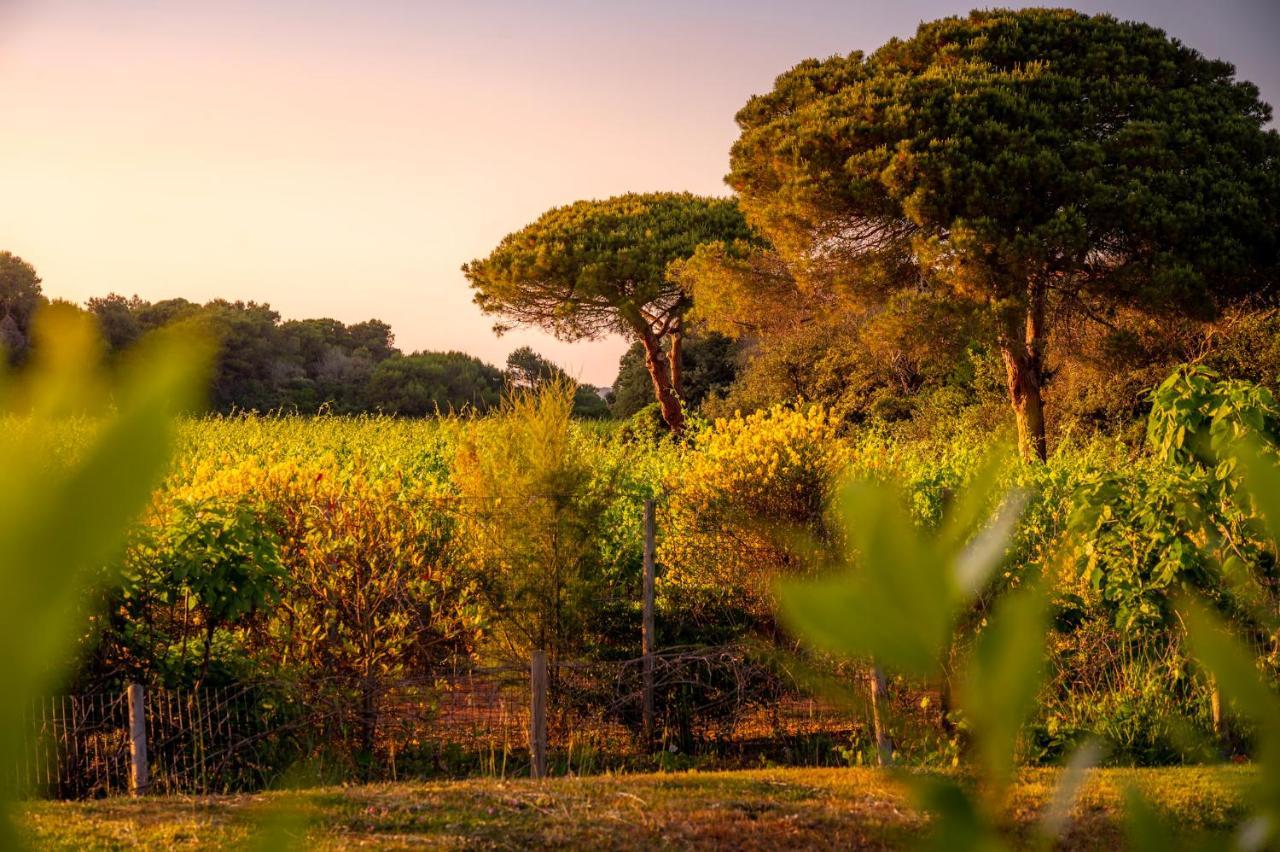 Masseria Mongio Dell'Elefante Otranto Ngoại thất bức ảnh