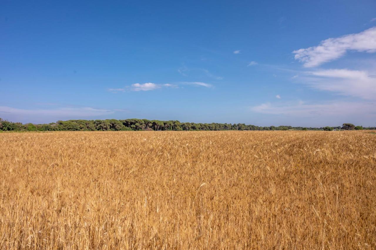 Masseria Mongio Dell'Elefante Otranto Ngoại thất bức ảnh