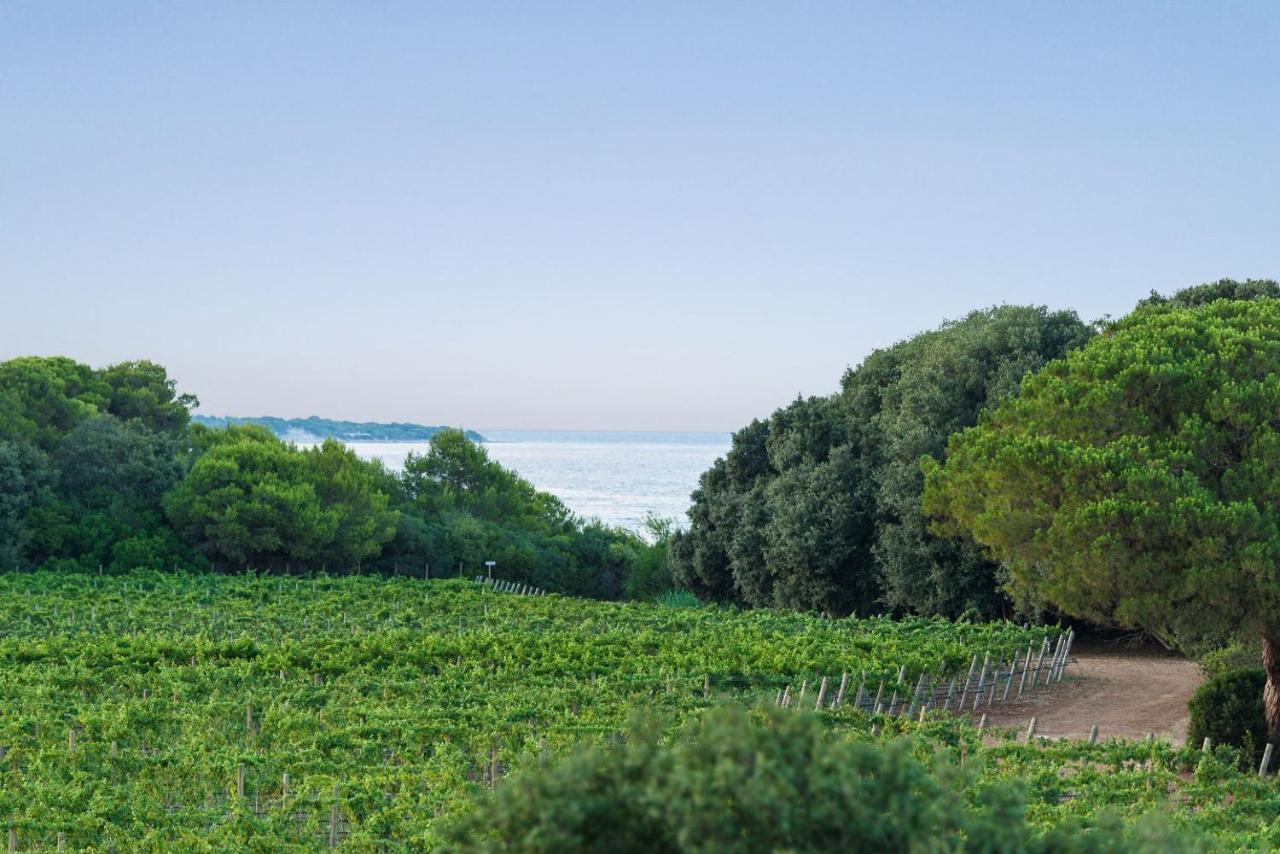 Masseria Mongio Dell'Elefante Otranto Ngoại thất bức ảnh
